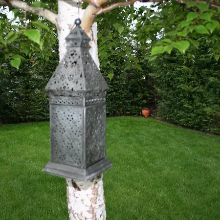 Cherry Tree * غولدن ساندز